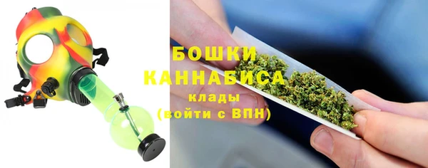 крисы Гусев