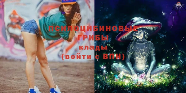 крисы Гусев