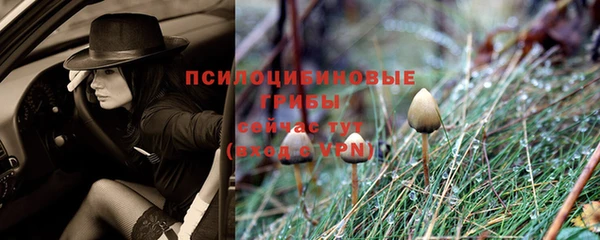 кокс Гусиноозёрск