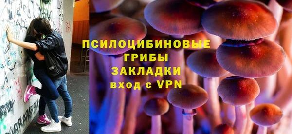 крисы Гусев