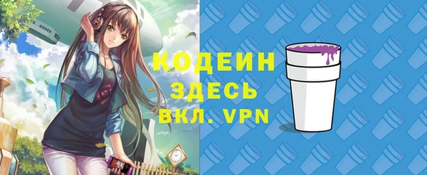 крисы Гусев