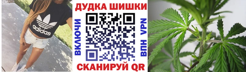 Купить где  Неман  Каннабис Amnesia 